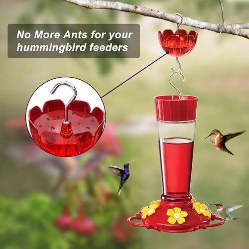 Ant Moat for Hummingbird Feeders, 6 Pack 4OZ