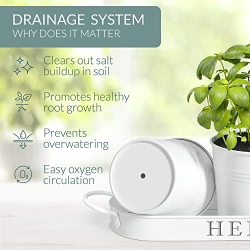 Barnyard Designs Indoor Herb Garden Planter Pots with Tray Set/3 (White)