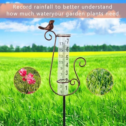 Rain Gauge Outdoor with 7 Inch Glass Tube