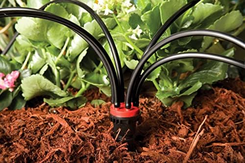Rain Bird MANIF21PK Drip Manifold, 2 GPH