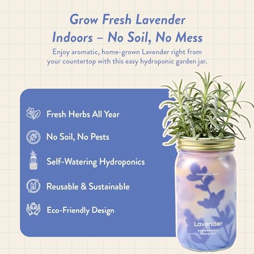 Modern Sprout Mason Garden Jar - Self-Watering Hydroponics Kit - Lavender