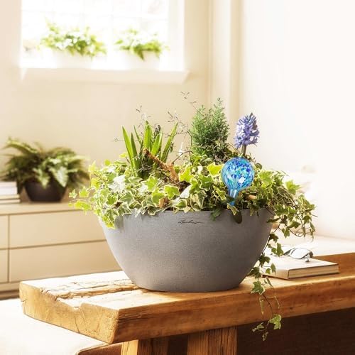 Plant Watering Globes Set of 8, Small - Glass Self Watering Globes