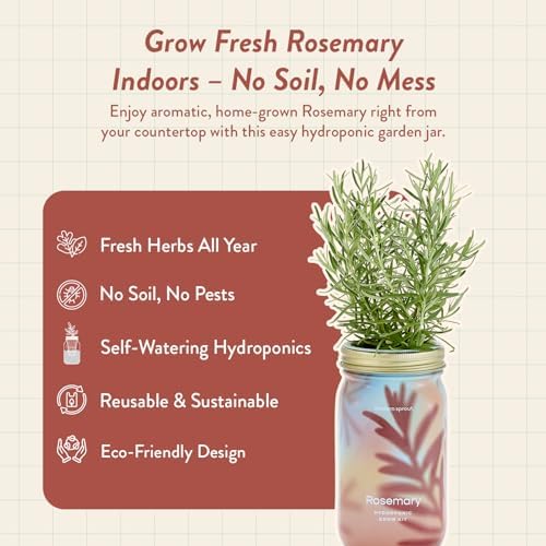 Modern Sprout Mason Garden Jar - Self-Watering Hydroponics Kit - Rosemary