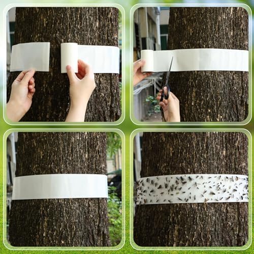 12 Rolls Spotted Lantern Fly Tree Trap, 30 ft Each, Outdoor Ant Trees Wrap