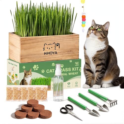 Cat Grass Kit for Indoor Cats - 5 Packets of Seeds, Cat Grass Planter Wooden Growing Kit, 5-Time Plant Starter Pack with 6 Soil Discs, Trimming Scissors, Spray Bottle, and Mini Tools