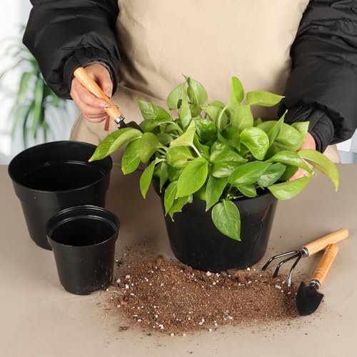 RooTrimmer 4/6/8 Inch Black Plant Nursery Pots, 15 Pack, Thickened Plastic with Drainage Holes, Indoor/Outdoor