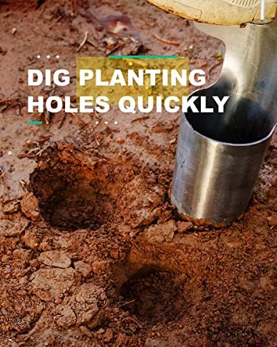 Long Handle Bulb & Grass Plug Planter, Pro Plugger with Depth Marker & Sharp Teeth, Solid Wood Handle