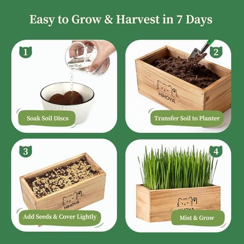 Cat Grass Kit for Indoor Cats - 5 Packets of Seeds, Cat Grass Planter Wooden Growing Kit, 5-Time Plant Starter Pack with 6 Soil Discs, Trimming Scissors, Spray Bottle, and Mini Tools