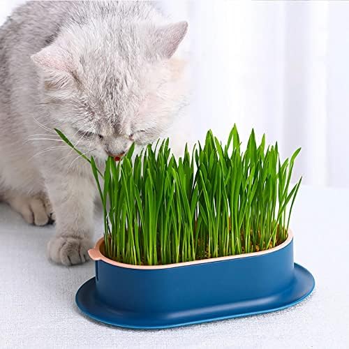 3Pcs Cat Grass Planter (No Seeds Included) Wheatgrass Planting Trays Hydroponic Cat Grass Growing Kits for Indoor Cats Soilless Organic Nursery Box Pet Grass Pot (I)