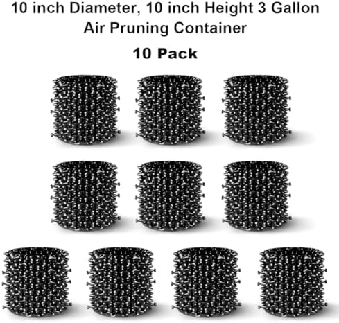 RooTrimmer 3 Gallon Air Pruning Container New Plastic Nursery Pot Fruit Vegetable Garden self-Planting pots, Size 10"x10", Black