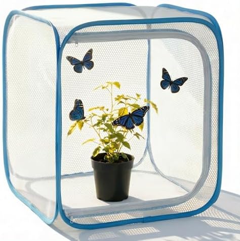 Insect & Butterfly Habitat Cage, Portable Pop-Up Terrarium with Mesh Sides, Bug Catching & Observation Enclosure for Caterpillars, Small Insects, Outdoor & Classroom Use, 12 Inches Tall