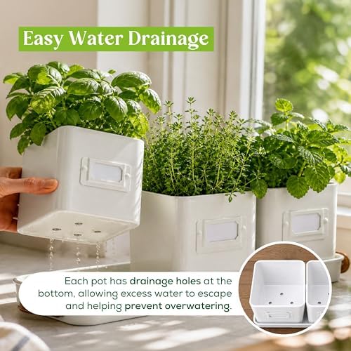 volila Herb Planter Indoor - Set of 3 Warmstone Indoor Herb Garden Pots for Plants with Leather Handled Tray - Window Sill Plant Shelf - Herb Pots with Drainage Holes and Labels