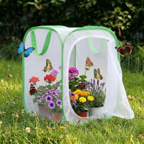 Insect & Butterfly Habitat Cage, Portable Pop-Up Terrarium with Mesh Sides, Bug Catching & Observation Enclosure for Caterpillars, Small Insects, Outdoor & Classroom Use, 16 Inches Tall