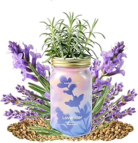 Modern Sprout Mason Garden Jar-Self-Watering Kit - Lavender+Rosemary