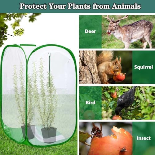 36" Mesh Plant Enclosure Pop-Up Plant Protection Tent, 24”x 24”x 36” Mesh Plant Cover Grow Tent Plant Cover for Fruit, Vegetables, Pests, Bird and Pest Protection Guard for Flowers and Herbs (Green)