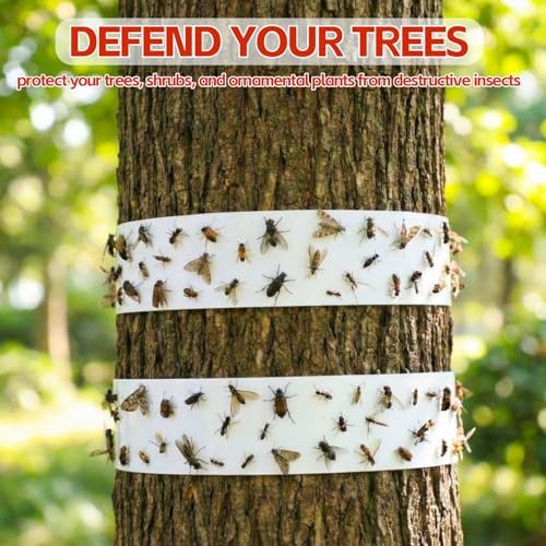 12 Rolls Spotted Lantern Fly Tree Trap, 30 ft Each, Outdoor Ant Trees Wrap