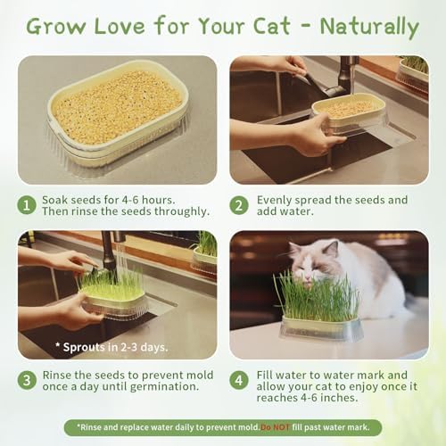 Hydroponic Cat Grass Grow Kit with 5Pack Non GMO Seeds, Organic Grass Growing Kit, Cat Grass for Indoor Cats, Soil-Free Planter, Perfect for Beginners, Ideal Birthday Gift for Cat Lovers