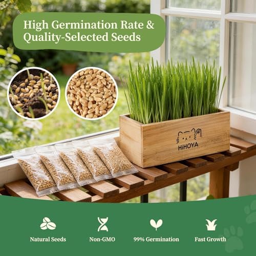 Cat Grass Kit for Indoor Cats - 5 Packets of Seeds, Cat Grass Planter Wooden Growing Kit, 5-Time Plant Starter Pack with 6 Soil Discs, Trimming Scissors, Spray Bottle, and Mini Tools