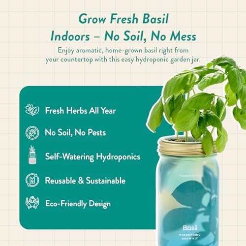 Modern Sprout Mason Garden Jar - Self-Watering Hydroponics Kit - Basil