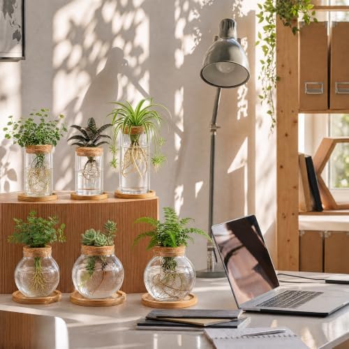 Honeydak 6 Pcs Plants Propagation Station Desktop Glass Propagation Round