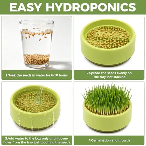Hydroponic Cat Grass Planter, Plastic Catnip Cat Grass Box 5.31"x2.56", Soil-Free Anti-Digging Planting Trays, Wheatgrass Growing Pot for Indoor Cats Pets (Green)