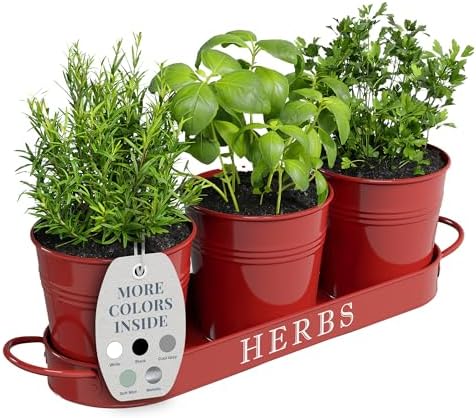 Barnyard Designs Indoor Herb Garden Planter Pots Set/3 (Brick Red)