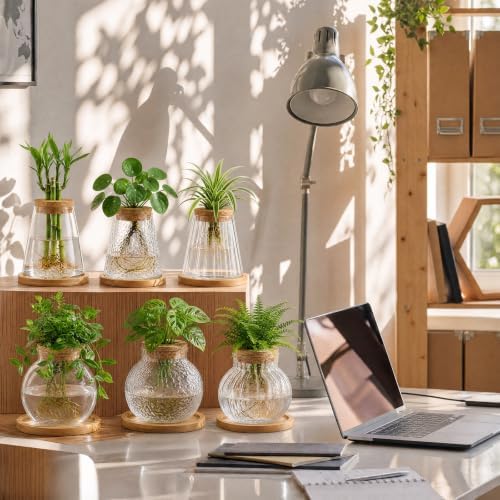 Honeydak 6 Pcs Plants Propagation Stations Planter Terrariums with Wooden Lid and Bamboo Stand Hammered Glass Propagation Vases for Plant Growing Hydroponic Home Office Tabletop Decoration