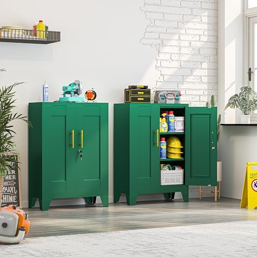 Small Metal Storage Cabinet, Lockable Tool Cabinet with Doors and 2 Shelves