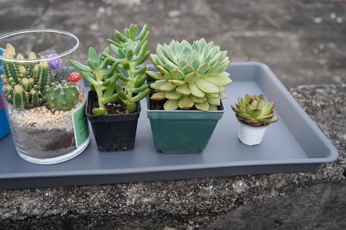 VUWEZ Rectangle Plant Tray, Plant Drip Tray, Plant Pot Saucers, Plant Germination Trays, Plant Saucers, 11'' x 9'' x 1.2'' (2 pack), Gray