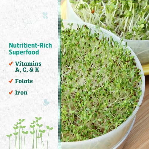 Back to the Roots 100% Organic Alfalfa Seeds | 1 Pound Non-GMO | Nutrient Dense, Easy to Grow, Rich in Fiber