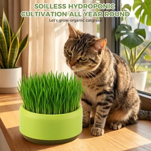 Hydroponic Cat Grass Planter, Plastic Catnip Cat Grass Box 5.31"x2.56", Soil-Free Anti-Digging Planting Trays, Wheatgrass Growing Pot for Indoor Cats Pets (Green)