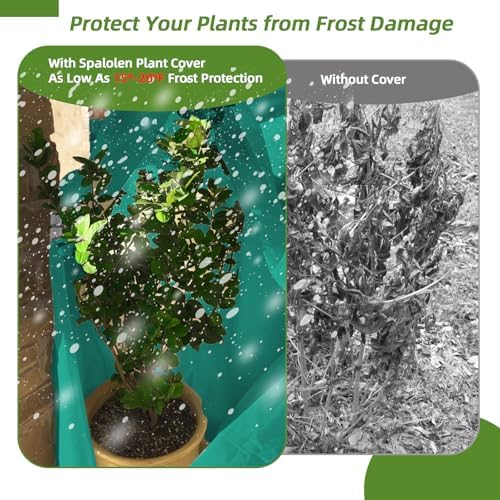 2 Pack Plant Covers Freeze Protection, 40"W x 45"H Winter Frost Blanket 2.36 oz/yd² Fabric Frost Cloth Tree Covers Shrub Jacket Bag with Zipper & Drawstring for Plants Fruit Tree Shrub Potted - Green