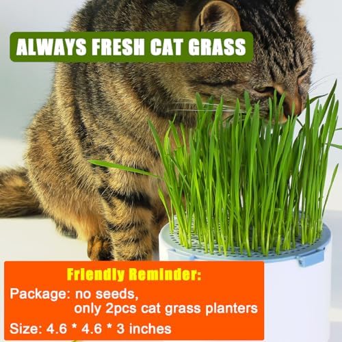 2Pcs Hydroponic Cat Grass Planter (no Seeds Included) for Indoor Cat