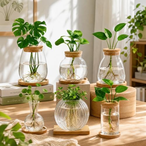 Honeydak 6 Pcs Plants Propagation Stations Glass Propagation Ribbed Vases