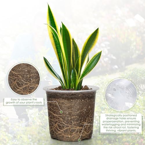 FUIJOL 6 Inch Clear Nursery Pots for Plants with Sacuers 15 Pack, Plastic Flower Pots with Drainage Holes, Variety Pack Seedlings Garden Pot for Indoor Outdoor (6 inch)
