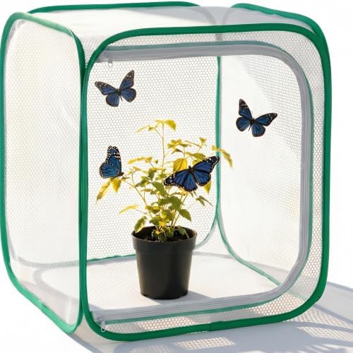 Insect & Butterfly Habitat Cage, Portable Pop-Up Terrarium with Mesh Sides, Bug Catching & Observation Enclosure for Caterpillars, Small Insects, Outdoor & Classroom Use, 12 Inches Tall