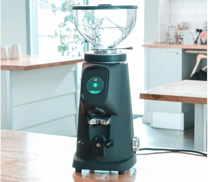 Fiorenzato All Ground Burr Grinder/Coffee Grinder for Home/Burr Coffee Ginder/Electric Coffee Ginder/Coffee Bean Grinder - 64mm flat burrs with Container - Made in Italy (BLACK)