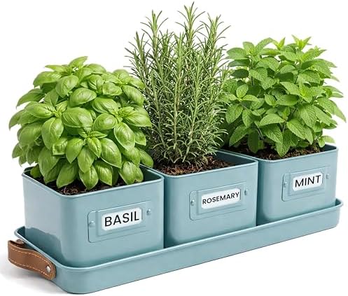 volila Herb Planter Indoor - Set of 3 Teal Blue Indoor Herb Garden Pots for Plants with Leather Handled Tray - Window Sill Plant Shelf - Herb Pots with Drainage Holes and Labels