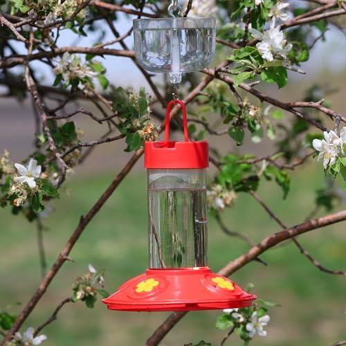 Songbird Essentials Nectar Protector Junior Bird Feeder Protection - Clear