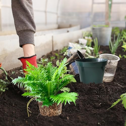 RooTrimmer 50 Pack 6 Inch Nursery Pots, Planting Grow Plastic Flower Pots, Thick Planters with Drainage Holes for Outdoor/Indoor Plants Succulent Herb (Green)