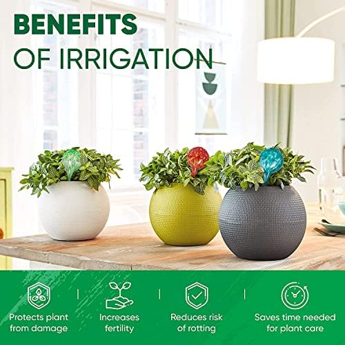 Plant Watering Globes Set of 2, Large - Glass Self Watering Globes