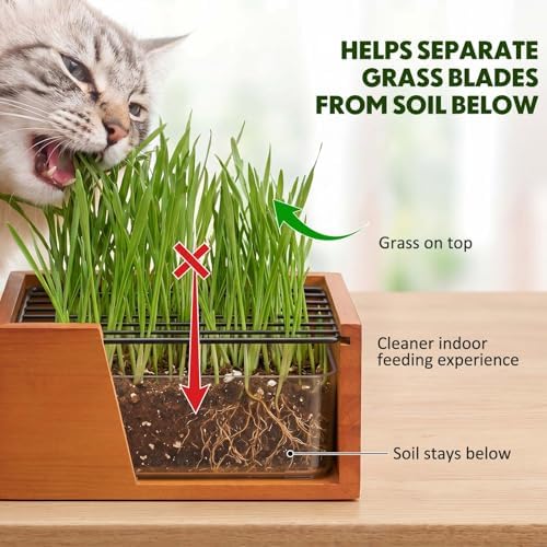 Wooden Cat Grass Planter for Indoor Cats, Wheat Grass Pot Kit with Soil Disks, Removable Anti-Digging Grid, Plastic Liner, No Seeds Included, Natural Wood, 6.7 x 4.7 x 4.3 in