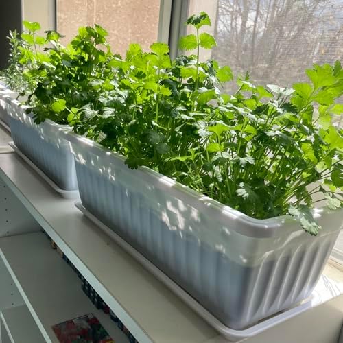 6 Pack 17 Inches Countryside Flower Box Planters, Plastic Vegetable Planters with 30 PCS Plant Labels, White Flower Window Boxes with Attached Tray for Windowsill, Patio, Garden, Balcony…