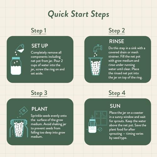 Modern Sprout Mason Garden Jar - Self-Watering Hydroponics Kit - Cilantro