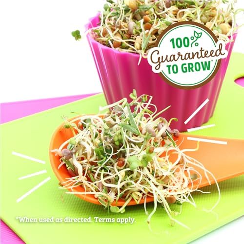 Back to The Roots 100% Organic 5-Part Salad Seeds | 1 Pound Non-GMO | Nutrient Dense, Easy to Grow, Rich in Fiber