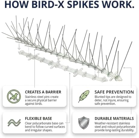 Bird-X Stainless Bird Spikes 8-Inch Extra-Wide, 2 Ft Strips, 100 Feet