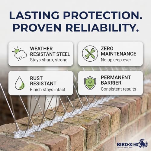 Bird-X Stainless Bird Spikes 8-Inch Extra-Wide, 2 Ft Strips, 100 Feet