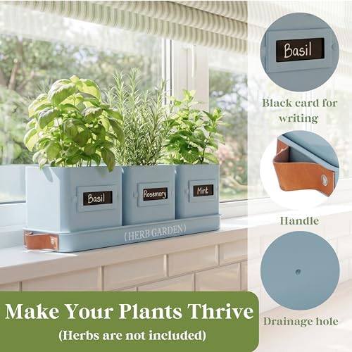 PERFNIQUE Indoor Herb Garden, Herb Garden Planter Set with Tray, Farmhouse Indoor Plant Pots, Windowsill Herb Garden with Drainage(Planter only) for Indoor/Outdoor, Window Pots(Sky Blue)