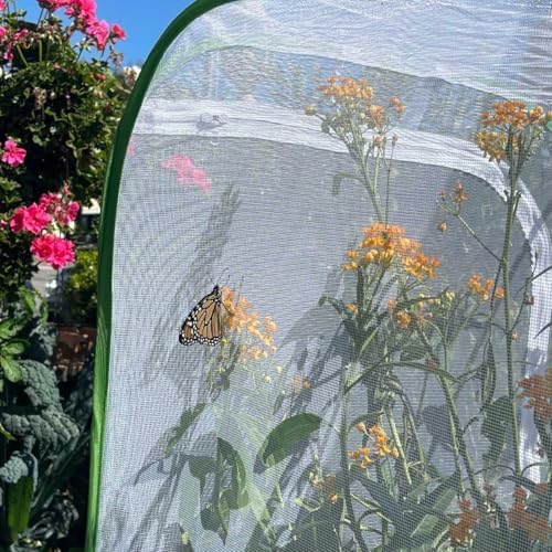 36" Mesh Plant Enclosure Pop-Up Plant Protection Tent, 24”x 24”x 36” Mesh Plant Cover Grow Tent Plant Cover for Fruit, Vegetables, Pests, Bird and Pest Protection Guard for Flowers and Herbs (Green)