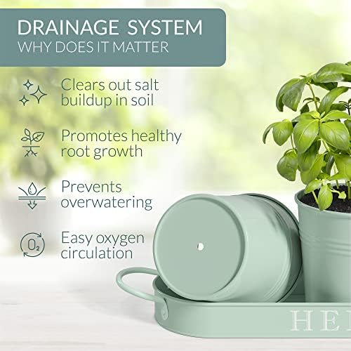 Barnyard Designs Indoor Herb Garden Planter Pots Set/3 (Soft Mint)